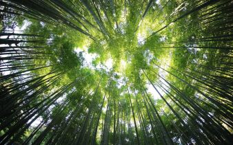 Photo by kazuend on Unsplash