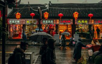 Photo by Nuno Alberto on Unsplash
