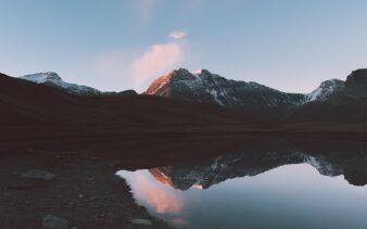 Photo by Philippe Toupet on Unsplash