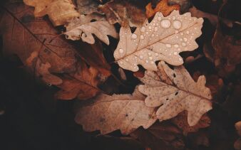 Foto von Daniel Frank auf pexels.com