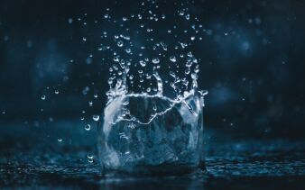 Foto von Amadej Tauses auf Unsplash