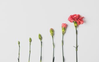 Foto von Edward Howell auf Unsplash