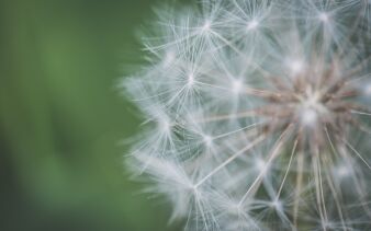 Foto von Jessica Lewis auf pexels.com