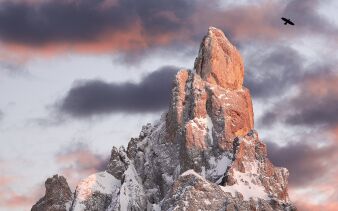 Foto von Gianluca Grisenti on pexels.com