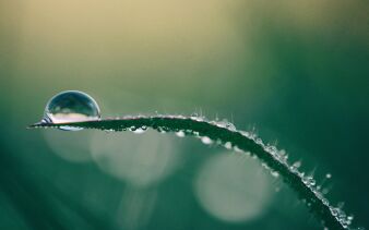 Foto von Aaron Burden auf Unsplash