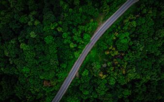 Photo by Vlad Hilitanu on Unsplash