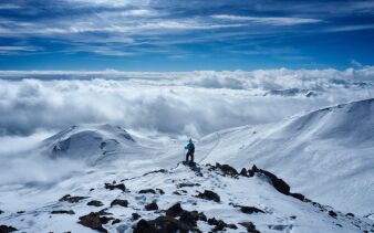 Photo by m wrona on Unsplash