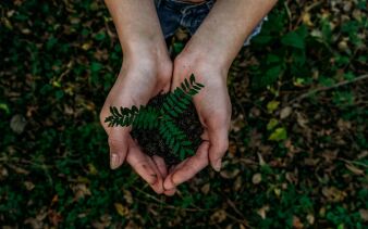 Photo by Noah Buscher on Unsplash