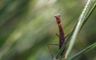 Foto von S N Pattenden auf Unsplash