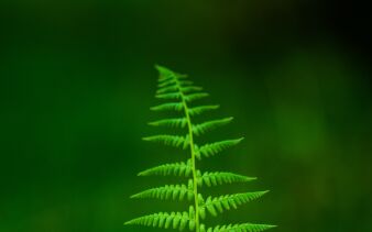 Photo by Marc-Antoine Moreno on Unsplash