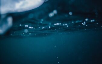 Photo by Tim Marshall on Unsplash