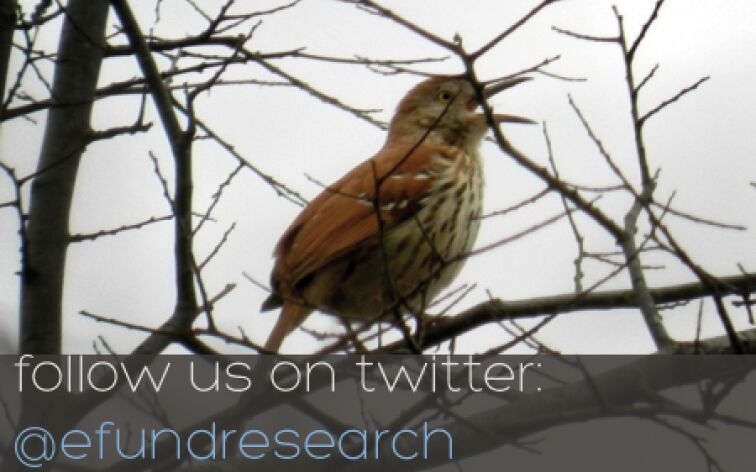 © e-fundresearch.com