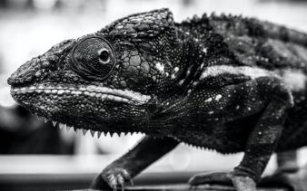 Photo by Jon Butterworth on Unsplash
