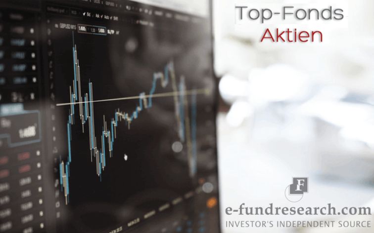 Ranking Die Besten Aktienfonds