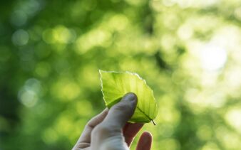 Photo by Tobias Weinhold on Unsplash