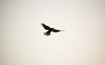 Photo by Laura ter Horst on Unsplash