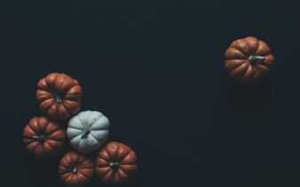 Photo by Scott Webb on Unsplash