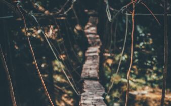Photo by Valentín Betancur on Unsplash