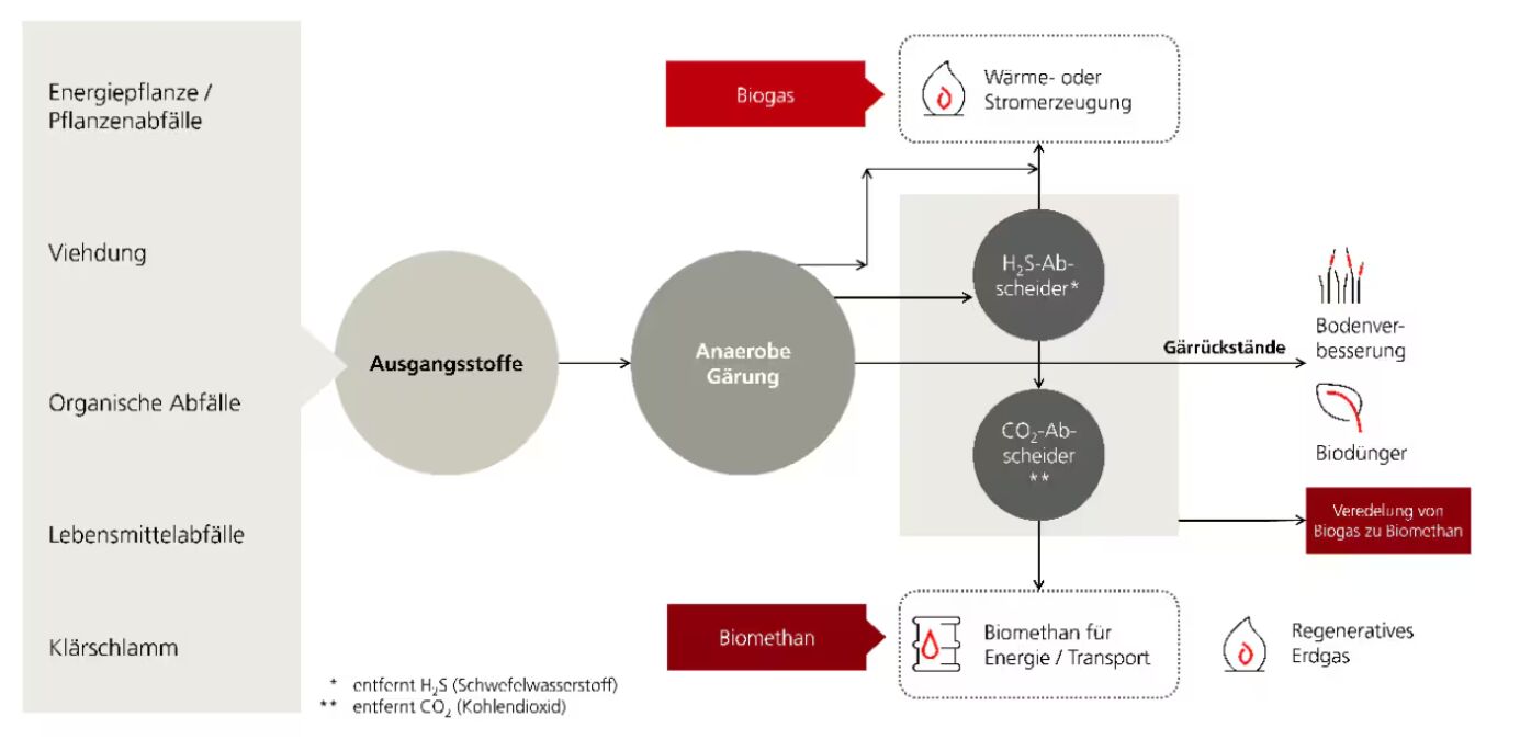 Fig 1: Schematische Darstellung des Produktionsprozesses von Biogas und Biomethan.
